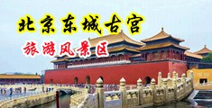 ftee性欧美少1肥妇中国北京-东城古宫旅游风景区